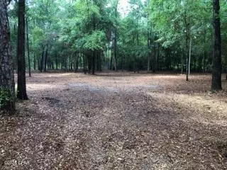 4954 Derby Dr, Chipley, FL 32428 photo 4