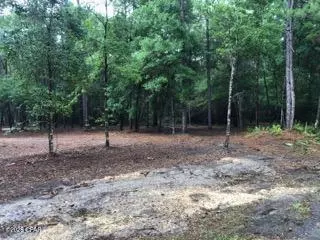 4954 Derby Dr, Chipley, FL 32428 photo 6