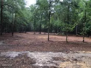 4954 Derby Dr, Chipley, FL 32428 photo 7