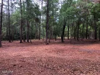 4954 Derby Dr, Chipley, FL 32428 photo 2