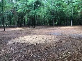 4954 Derby Dr, Chipley, FL 32428 photo 3