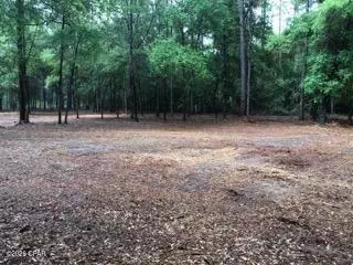 4954 Derby Dr, Chipley, FL 32428 photo 5
