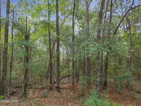 lot24 Remington Pl, Bonifay, FL 32425