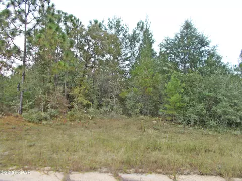 lot6 Nolan Dr, Chipley, FL 32428 photo 6