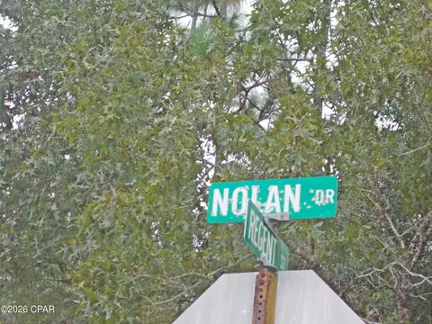 lot6 Nolan Dr, Chipley, FL 32428 photo 4