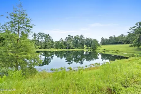 2584 Roche Rd, Chipley, FL 32428 photo 24