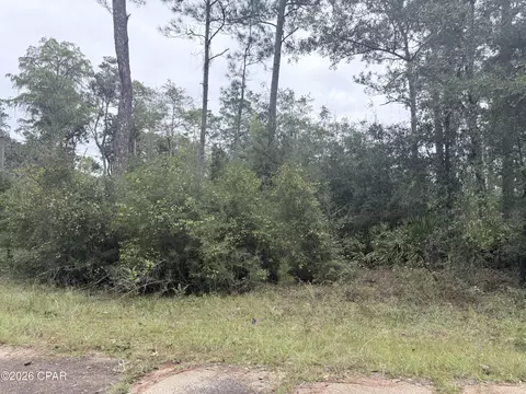 lot1 Wellington Pl, Chipley, FL 32428 photo 3