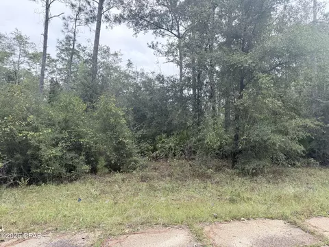 lot1 Wellington Pl, Chipley, FL 32428 photo 4