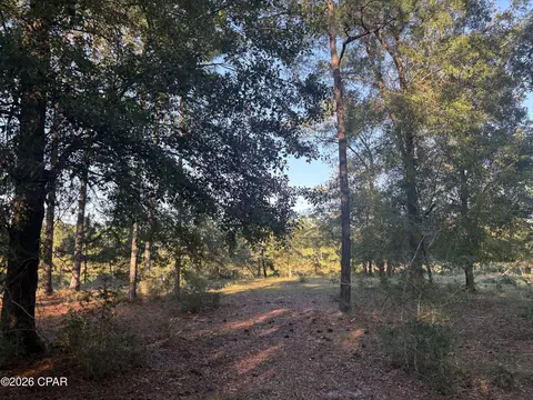 0 I-10 Loop, Marianna, FL 32448 photo 17