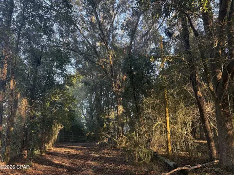 0 I-10 Loop, Marianna, FL 32448 photo 30