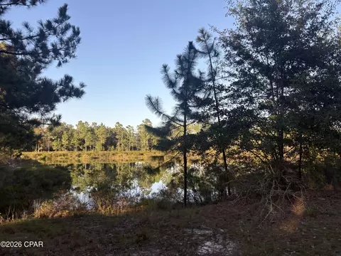 0 I-10 Loop, Marianna, FL 32448 photo 18