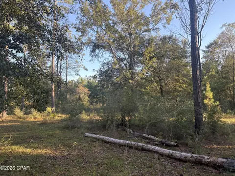 0 I-10 Loop, Marianna, FL 32448 photo 16