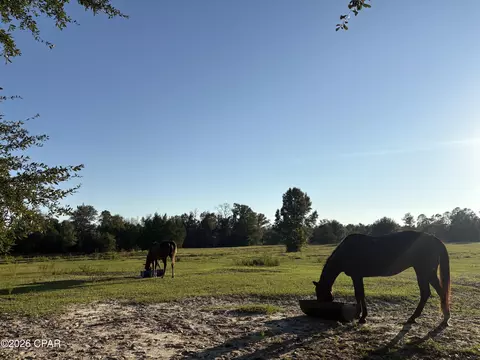 0 I-10 Loop, Marianna, FL 32448 photo 7