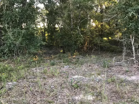000000 Pate Pond Rd, Caryville, FL 32427