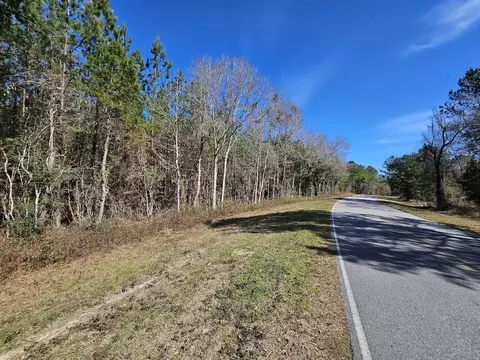 00 C B Whitehead Rd, Ponce De Leon, FL 32455 photo 6