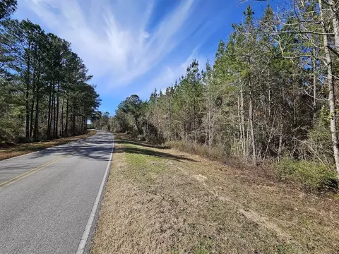 00 C B Whitehead Rd, Ponce De Leon, FL 32455 photo 7