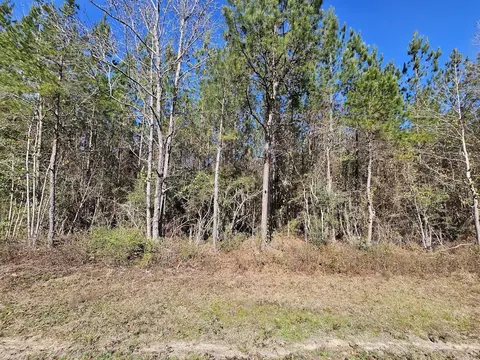 00 C B Whitehead Rd, Ponce De Leon, FL 32455 photo 5