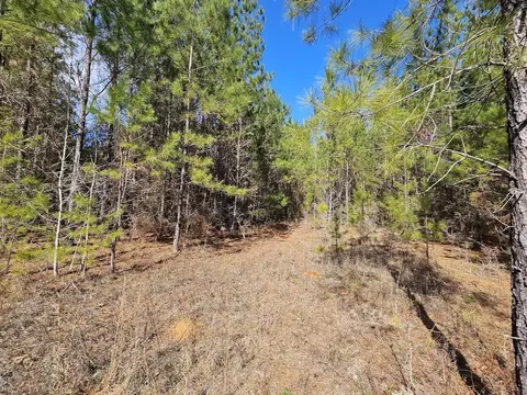 00 C B Whitehead Rd, Ponce De Leon, FL 32455 photo 8