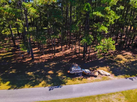 View/Area - 140 Flora Ln, Freeport, FL 32439 photo 16 of 21