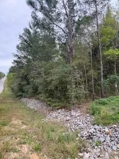 lot4 W Violet W, Defuniak Springs, FL 32433