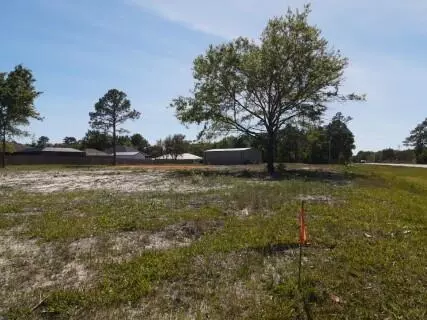 A Fl-20, Freeport, FL 32439 photo 2