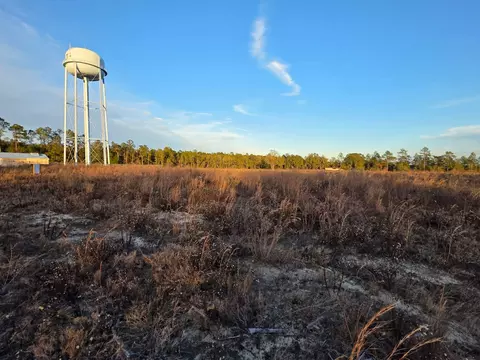 4 68 Acres Armistead, Holt, FL 32564