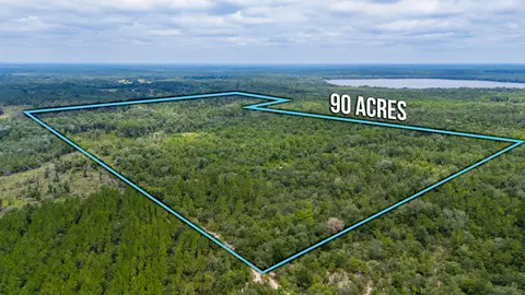 90 Acres Union Hill Rd, Vernon, FL 32462