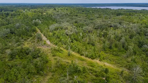 100 Acres Union Hill Rd, Vernon, FL 32462
