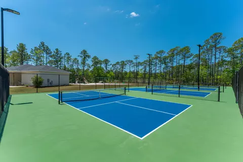 View/Area - 120 Lumen Loop, Freeport, FL 32439 photo 9 of 17