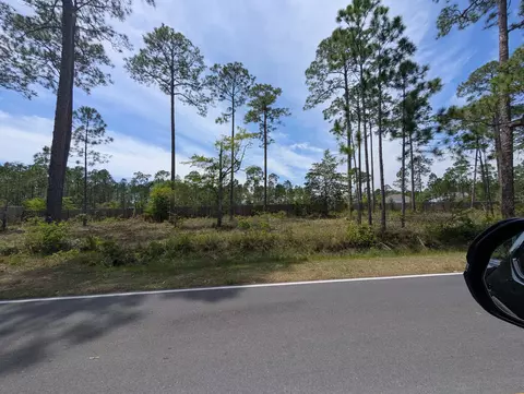 0 Mcdaniels Fishcamp Rd, Freeport, FL 32439