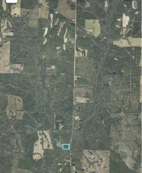 13 Acres County Highway 393, Crestview, FL 32539 photo 3