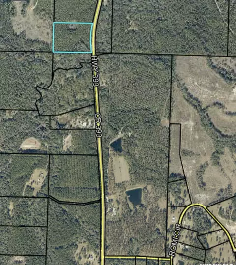 13 Acres County Highway 393, Crestview, FL 32539 photo 2