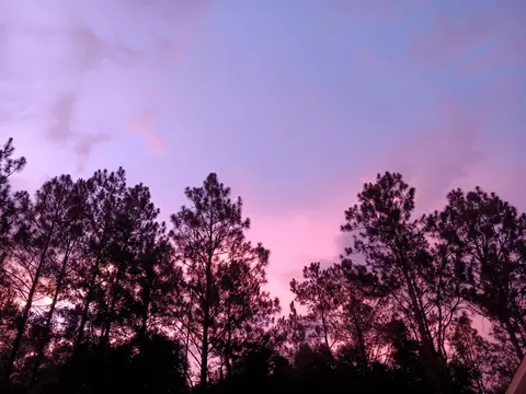 Other - 6269 Possum Ridge Rd, Crestview, FL 32539 photo 8 of 8