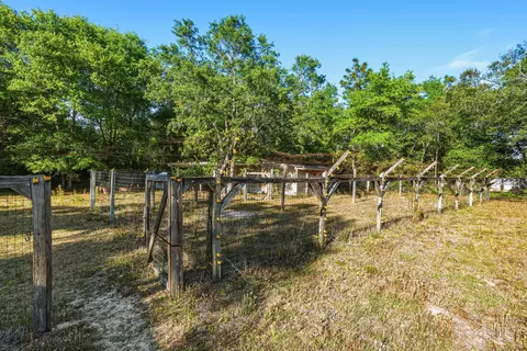 4249 Barlow Rd, Crestview, FL 32536 photo 35