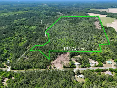 165 Acres Plantation Ln, Defuniak Springs, FL 32433