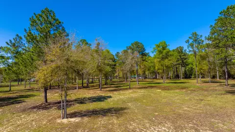 10 Acres N Cannon Dr, Paxton, FL 32538