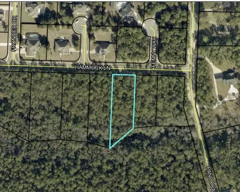 2468 Hammock Ln, Crestview, FL 32536 photo 2