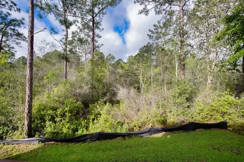 Exterior - 303 Key Lime Pl, Crestview, FL 32536 photo 5 of 6