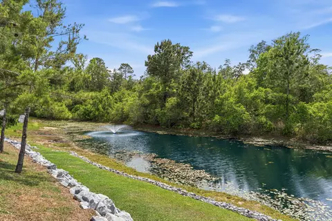 View/Area - 101 Hammock Oaks Blvd, Freeport, FL 32439 photo 7 of 10