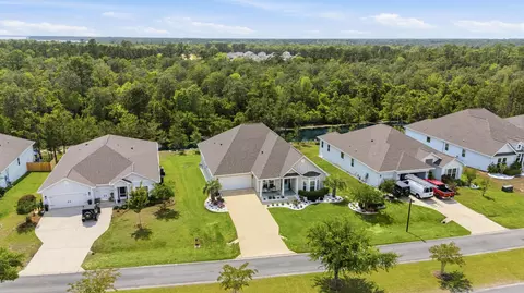 View/Area - 101 Hammock Oaks Blvd, Freeport, FL 32439 photo 4 of 10