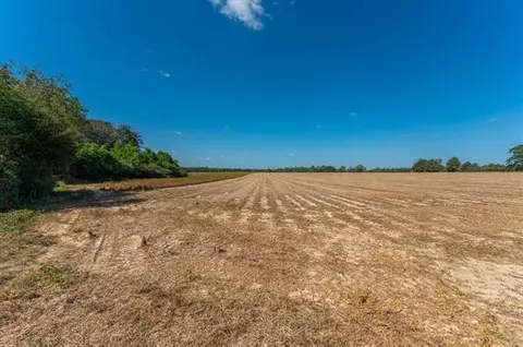 37 4 Acres Mcphail Farm Rd, Florala, AL 36442