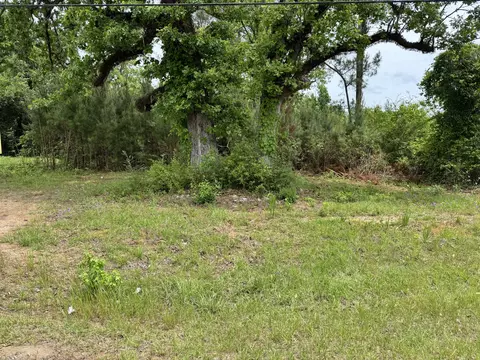 1436 Claxton Ave, Elba, AL 36323