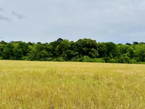 19 Acres Highway 55, Andalusia, AL 36420