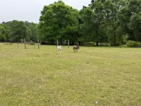 Other - 4371 Kls Ranch Rd, Crestview, FL 32539 photo 24 of 24