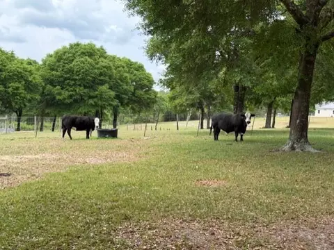 Other - 4371 Kls Ranch Rd, Crestview, FL 32539 photo 22 of 24