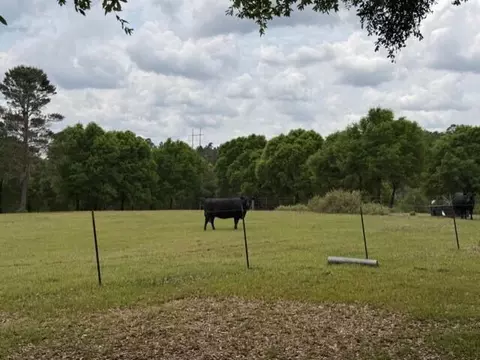 Other - 4371 Kls Ranch Rd, Crestview, FL 32539 photo 21 of 24