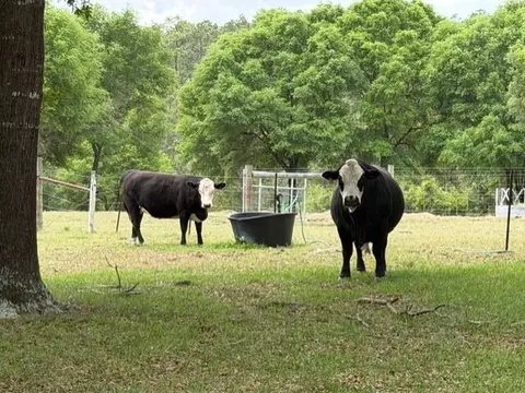 Other - 4371 Kls Ranch Rd, Crestview, FL 32539 photo 20 of 24