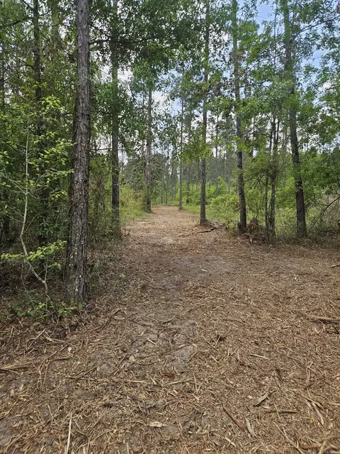 lot2 Rocky Creek Rd, Marianna, FL 32448