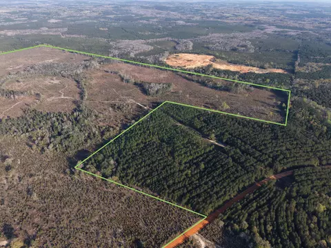2113 Tbd 526 Acres, Westville, FL 32464