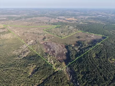 1718 Tbd 198 Acres, Westville, FL 32464